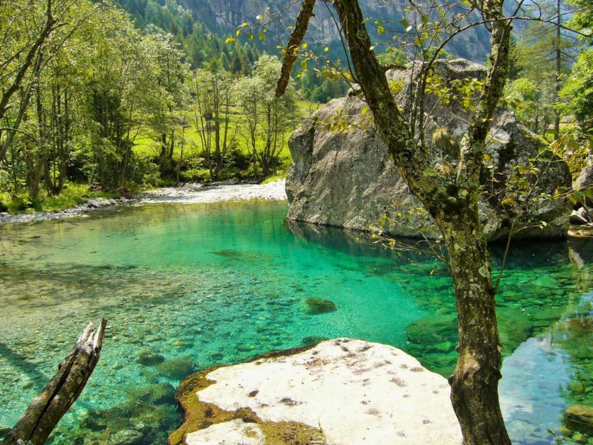 Appartamento Il Nido Tra Verde E Natura Berbenno di Valtellina Exterior foto