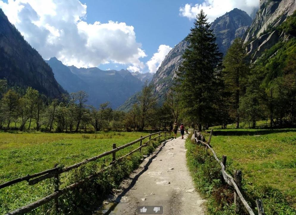 Appartamento Il Nido Tra Verde E Natura Berbenno di Valtellina Exterior foto